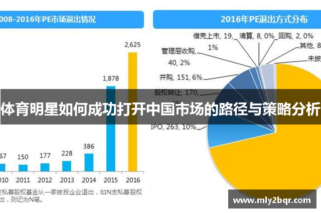 体育明星如何成功打开中国市场的路径与策略分析