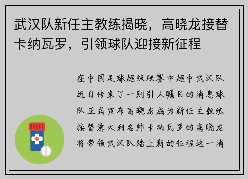 武汉队新任主教练揭晓，高晓龙接替卡纳瓦罗，引领球队迎接新征程