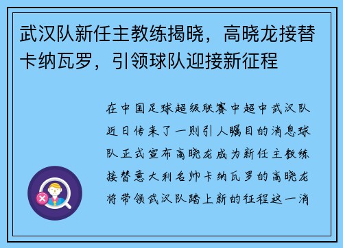武汉队新任主教练揭晓，高晓龙接替卡纳瓦罗，引领球队迎接新征程